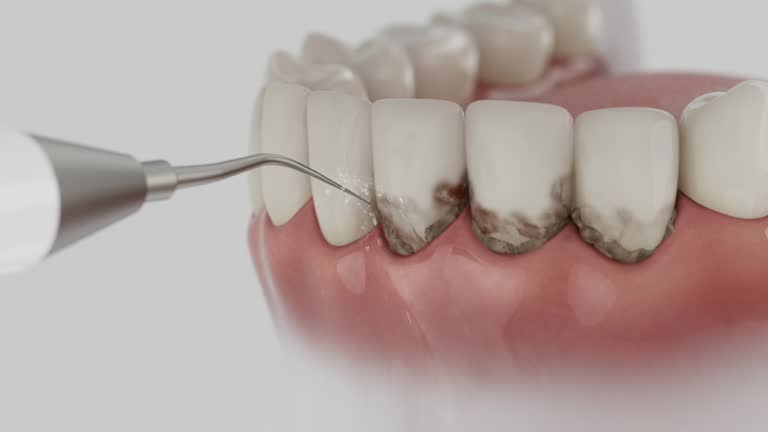 Reliable Dental contractor in Forest Heights, MD by Dentist Open Now